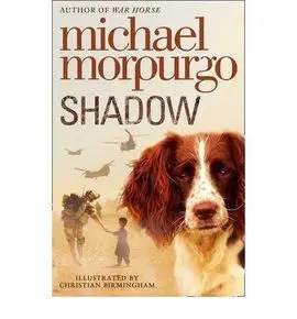 Shadow