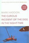 THE CURIOUS INCIDENT OF THE DOG IN THE NIGHT-TIME