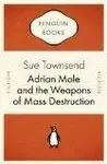 Adrian Mole And The Weapons Of Mass Destruction