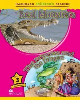 Princess And Dragons