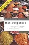 Mastering Arabic