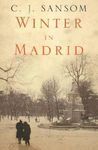WINTER IN MADRID