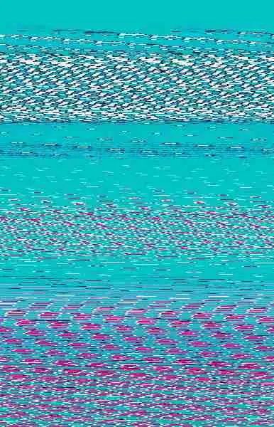 The Longest Whale Song