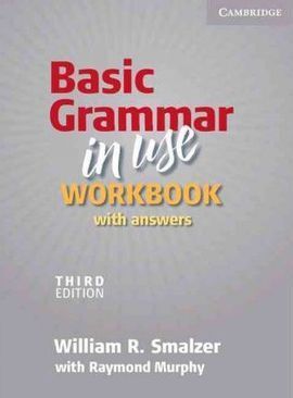 BASIC GRAMMAR IN USE WORKBOOK WITH ANSWERS