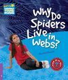 WHY DO SPIDERS LIVE IN WEBS?