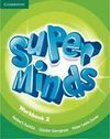 SUPER MINDS 2 WORKBOOK