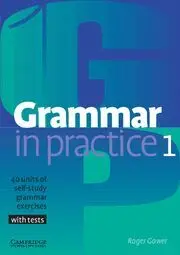 Grammar In Practice 1. Beginner