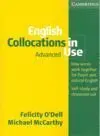 English Collocations In Use. Advance