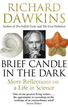 A Brief Candle In The Dark