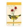 Audubon Warblers Mini Journal