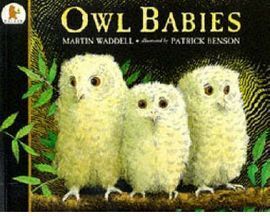 OWL BABIES