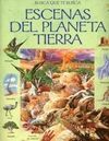 ESCENAS DEL PLANETA TIERRA