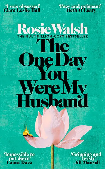 The One Day You Were My Husband