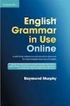 ENGLISH GRAMMAR IN USE ONLINE