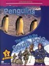 PENGUINS. THE RACE TO THE SOUTH