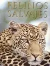 Felinos Salvajes