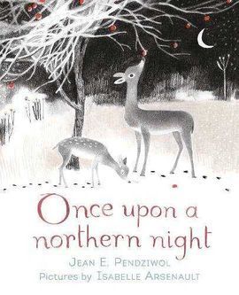 ONCE UPON A NORTHERN LIGHT