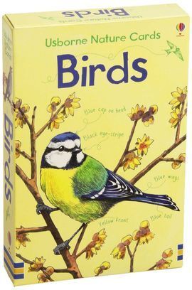 BIRDS NATURE CARDS