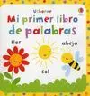 Mi Primer Libro de Palabras