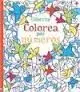 Colorea por Numeros