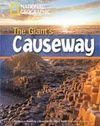THE GIANT S CAUSEWAY