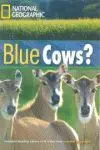 Blue Cows ? + Dvd (Intermediate B1)