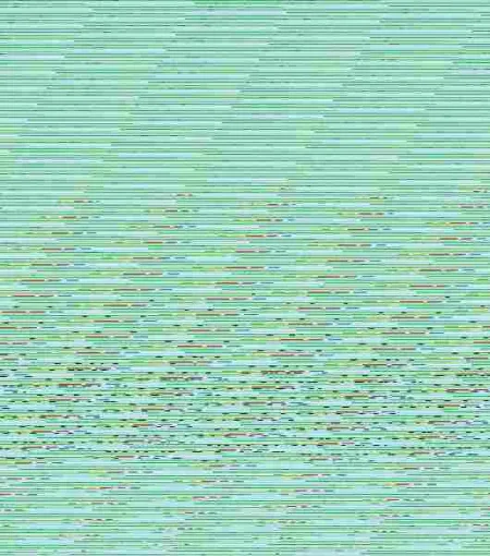 ¿Adónde Va la Caca ?