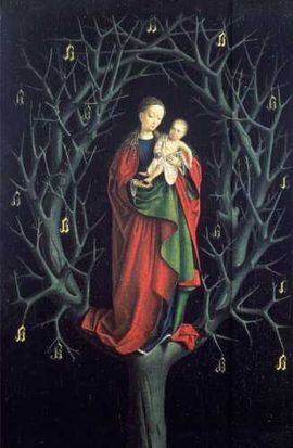 MADONNA MAGNETO LIBRETAS 10 X15