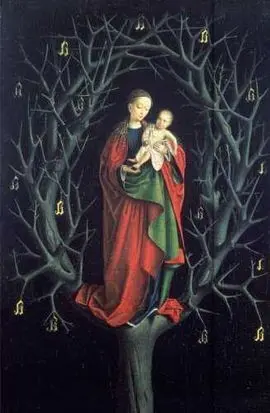 Madonna Magneto Libretas 10 X15