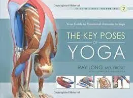 The Key Poses Of Yoga