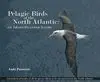 Pelagic Birds Of The North Atlantic