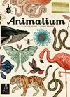 Animalium