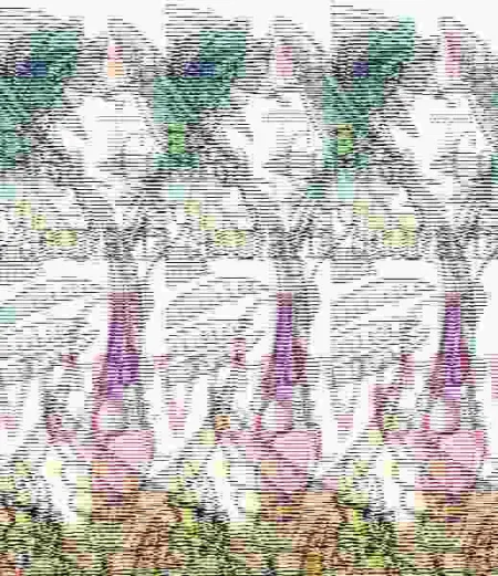 Aves Colorea por Arte de Magia