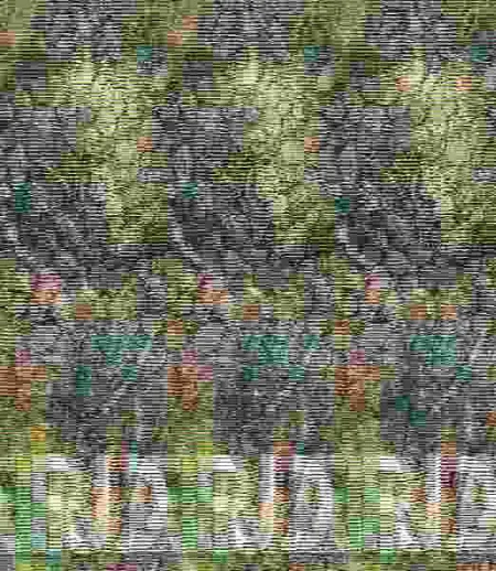 Jardines