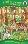 LIFE IN THE FOREST