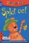 Splat Cat