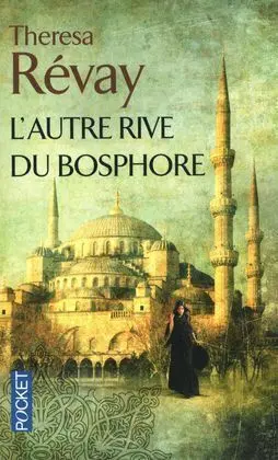 L'autre Rive Du Bosphore