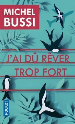 J'ai Du Rever Trop Fort