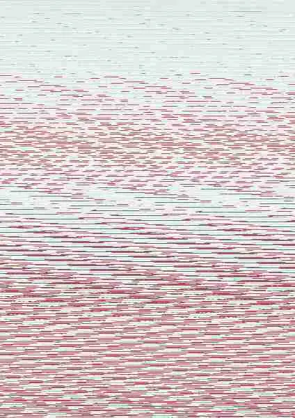 Los Amigatos Hachi y Maruru 2