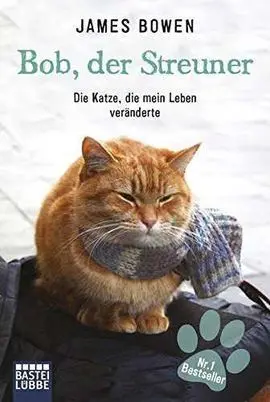 Bob, Der Streuner