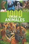 1000 Crias de Animales