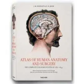 Atlas Of Human Anatomy And Surgery