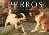 Perros y Otros Cánidos