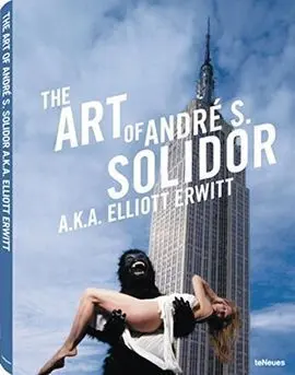 The Art Of Andre S. solidor