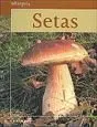 Miniguía de Setas