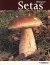 Miniguia Setas