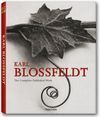 KARL BLOSSFELDT. THE COMPLETE PUBLISHED WORK