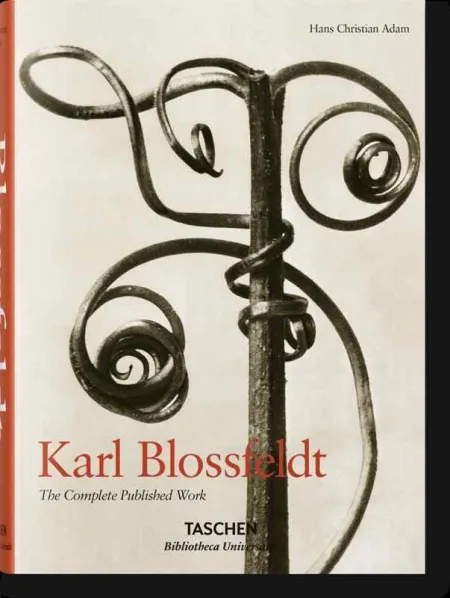 Karl Bloddfeldt The Complete Published Work