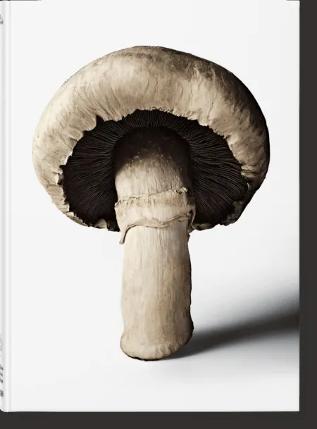 The Gourmand's Mushroom. A Collection Of Stories & Recipes