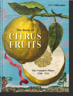 J. C. VOLKAMER. THE BOOK OF CITRUS FRUITS. 45TH ED.